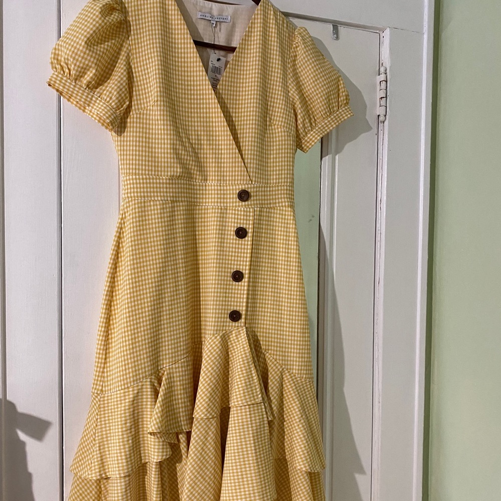 NWT english Factory midi dress with buttons